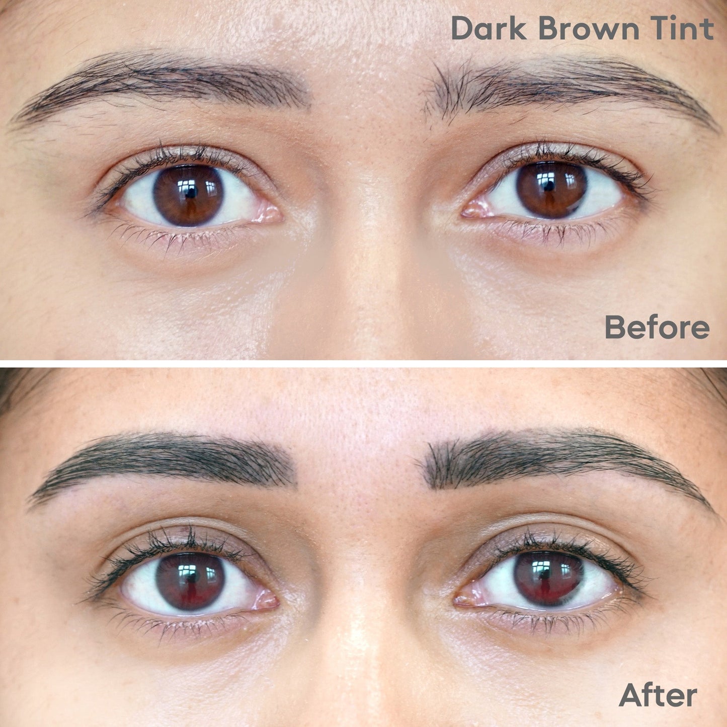 Teinture express 2-en-1 pour cils et sourcils Mylee - Dark Brown