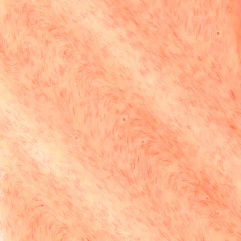 Mylee Gel Polish - Beach Please