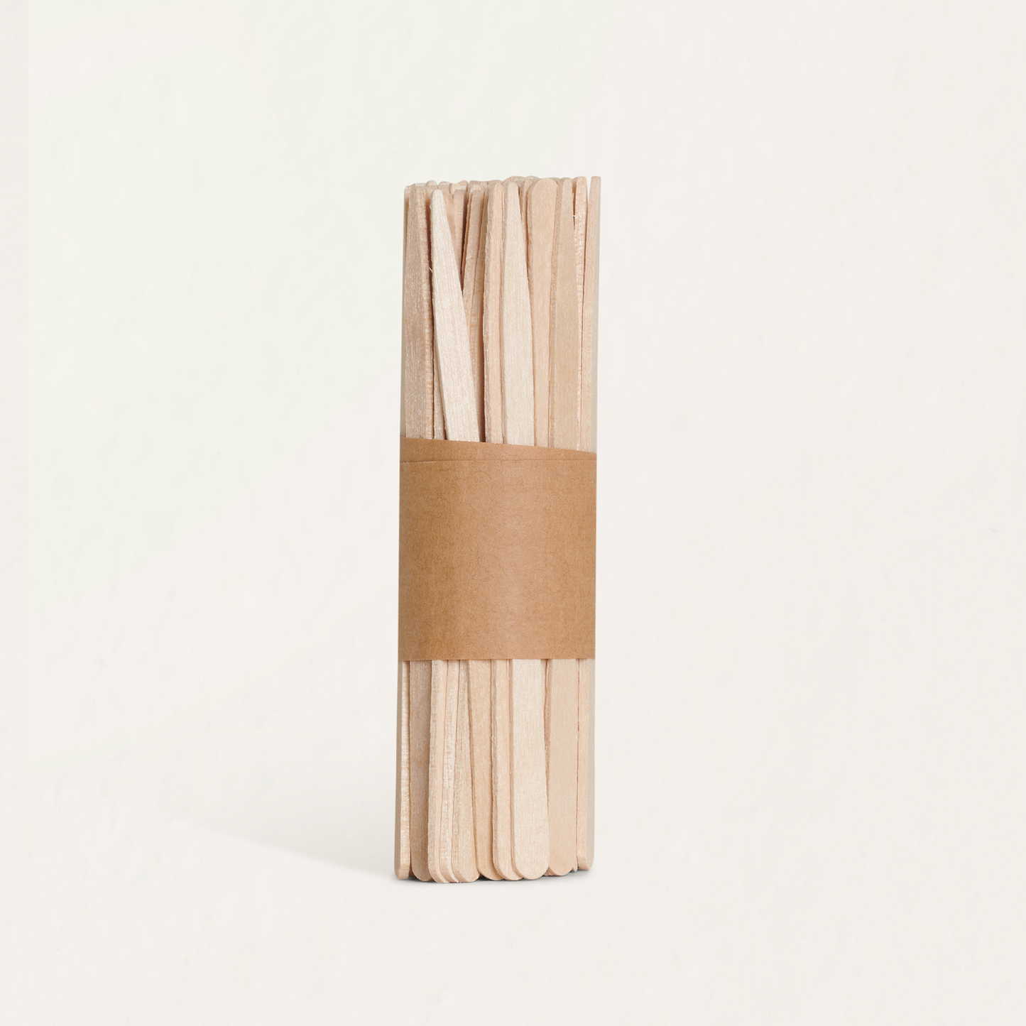 Spatules assorties Mylee x 200